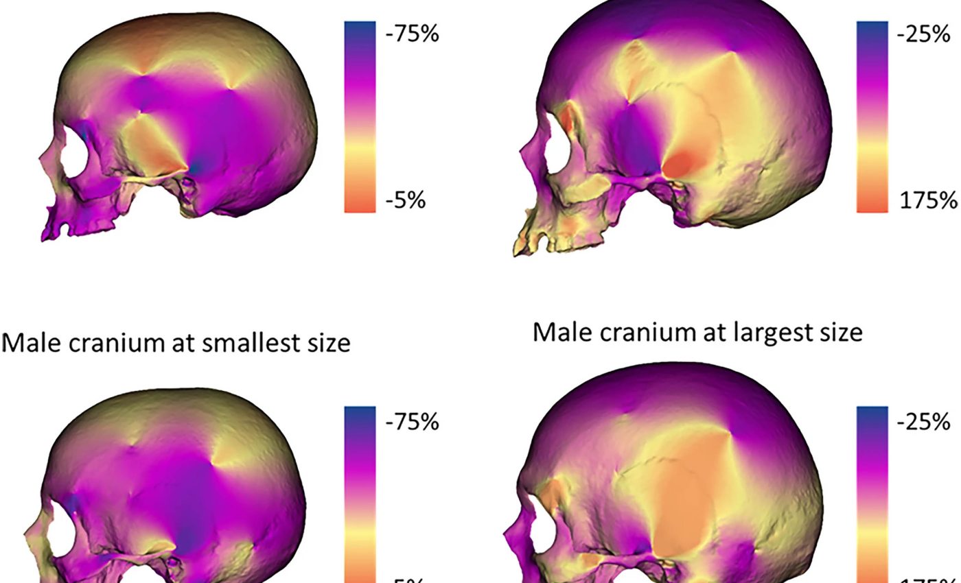 Fossil discovery changes what we thought we knew about prehistoric men and women