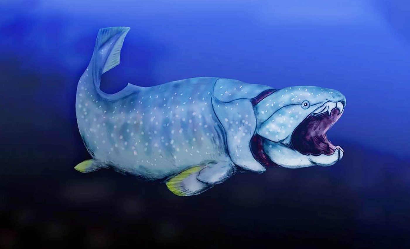 Ancient forests pumped oxygen into the ocean and helped deep-sea fish thrive