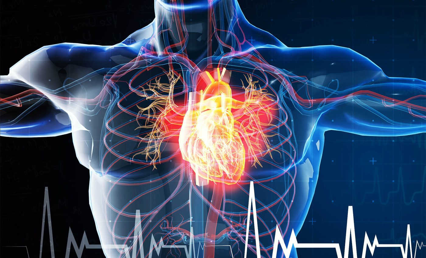 Surprising study concludes that mouth germs can play a key role in heart attacks