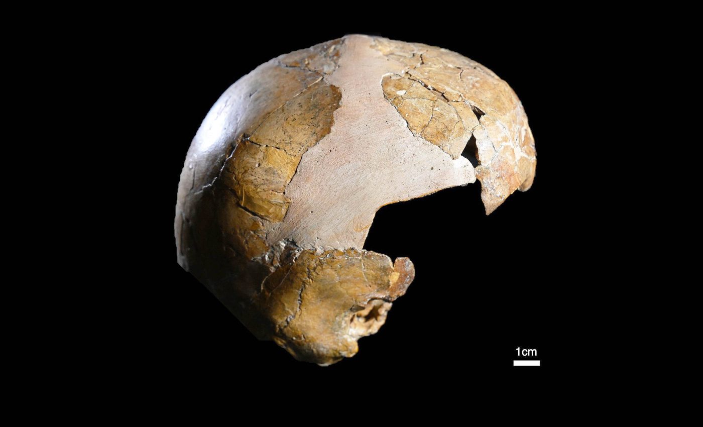 Skeleton is determined to be a 'hybrid child' of a human and Neanderthal interbreeding