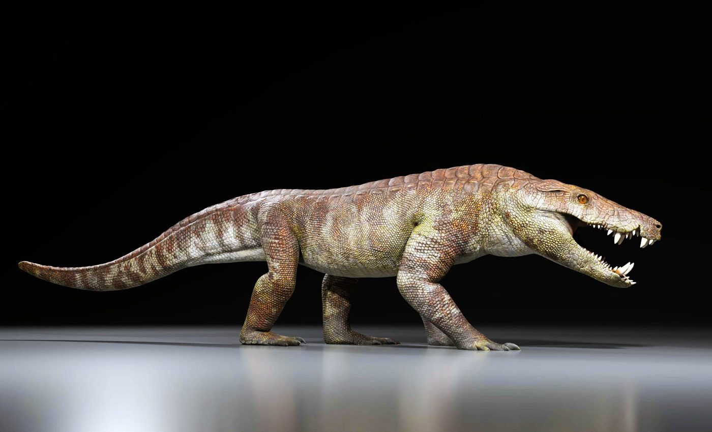 Ancient crocodile relative was fierce predator alongside dinosaurs