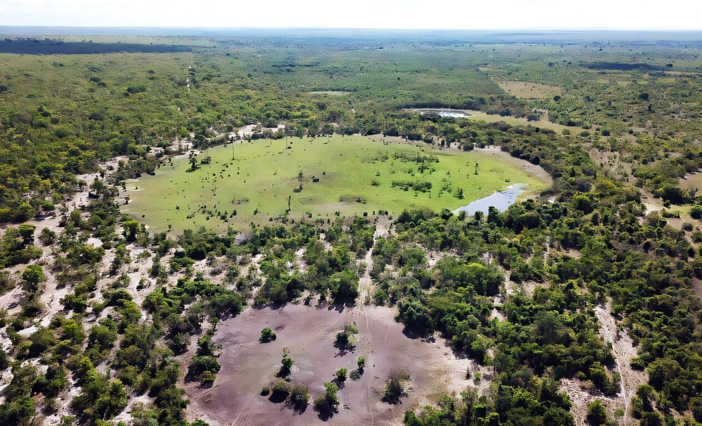 Fairy circles may point to underground sources of clean energy from natural hydrogen reserves