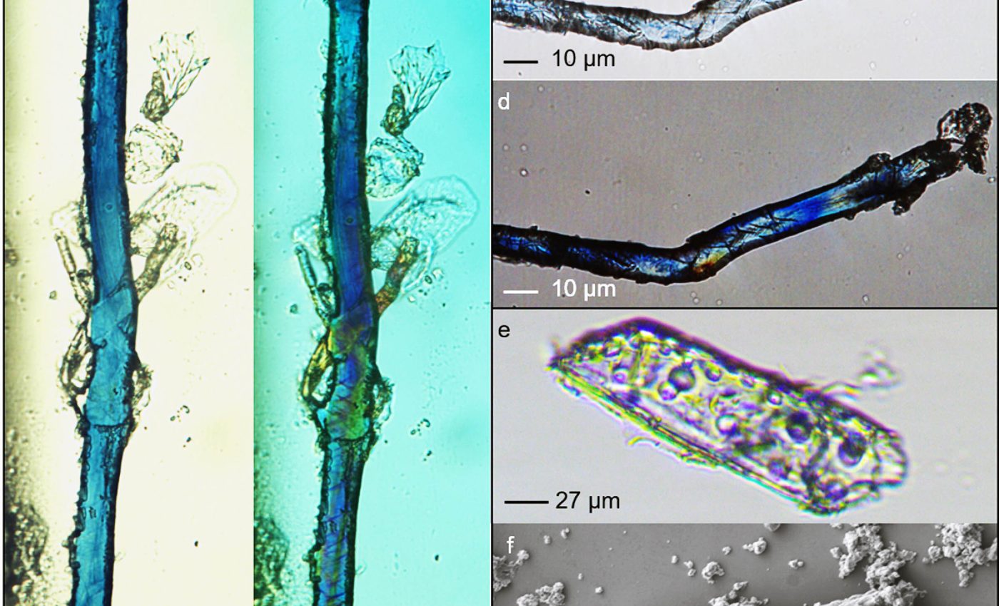 Earliest evidence found of humans using the color blue for decoration