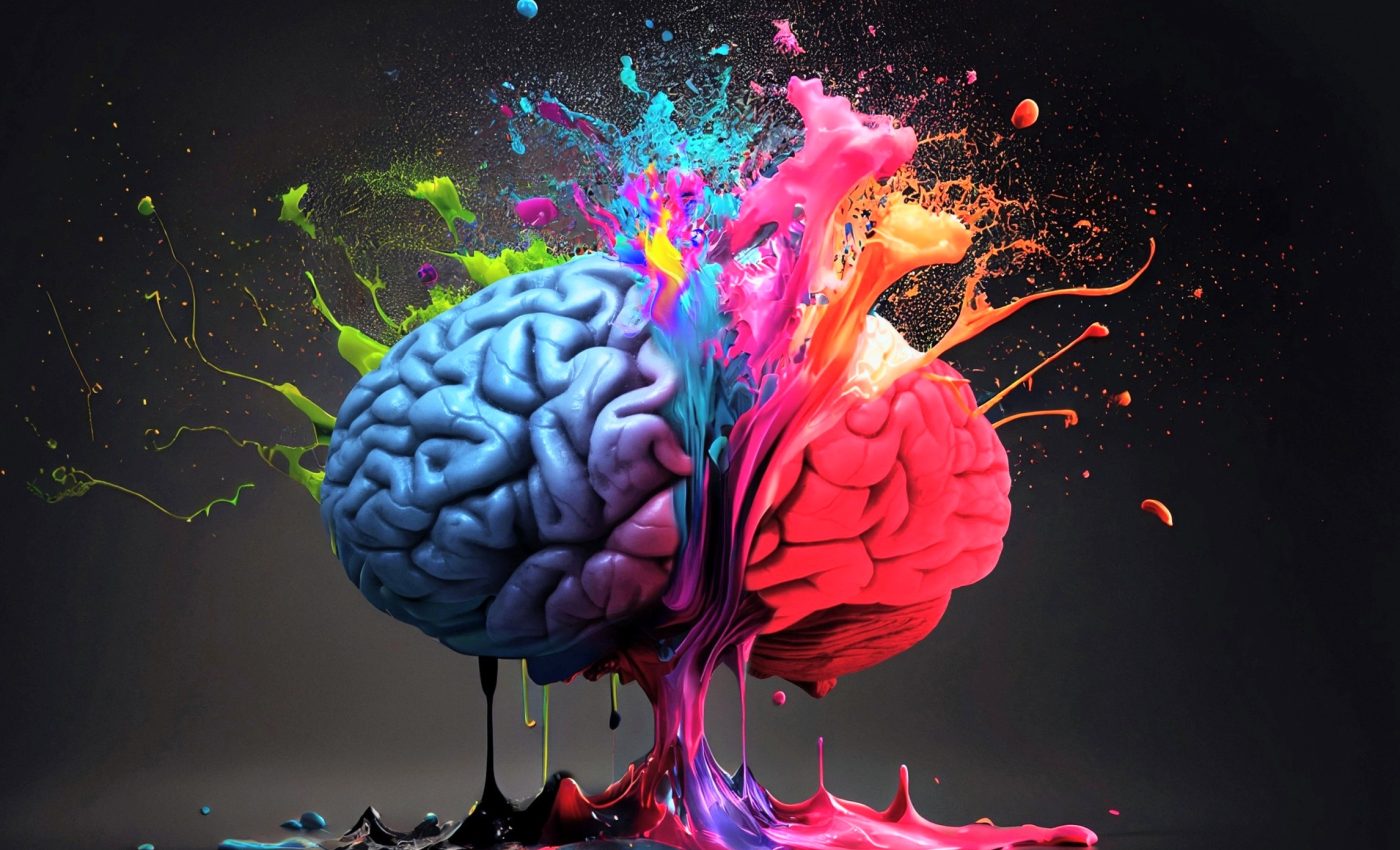 Colors from brain activity are shared across different people