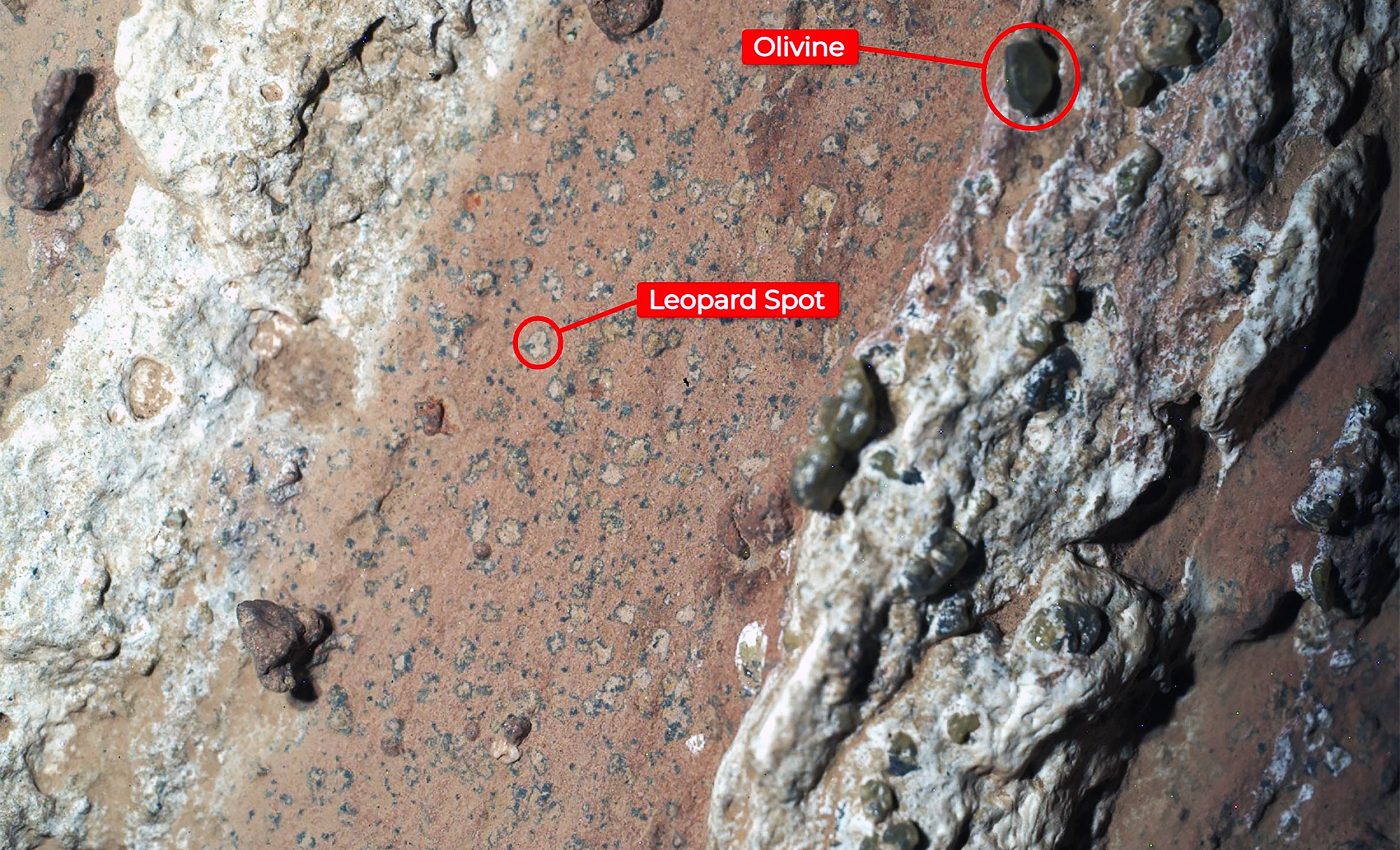 NASA announces "groundbreaking discovery" of life on Mars