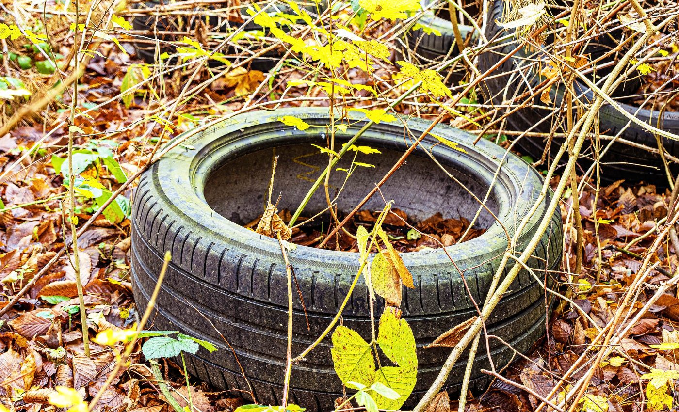 Toxic chemicals from tires are detected in human urine, including pregnant women