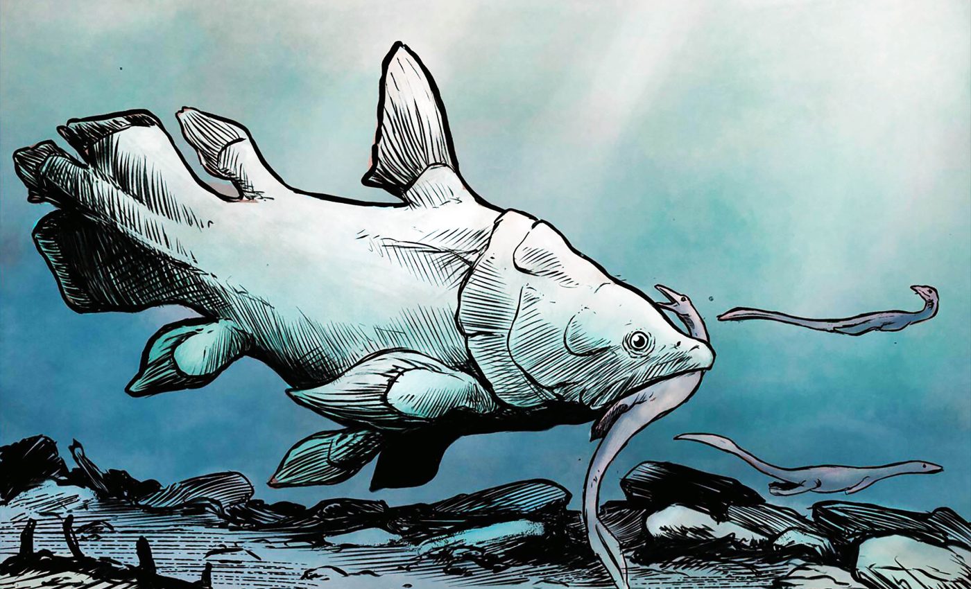 Multiple new species of 'living fossil' fish discovered that lived over 200 million years ago