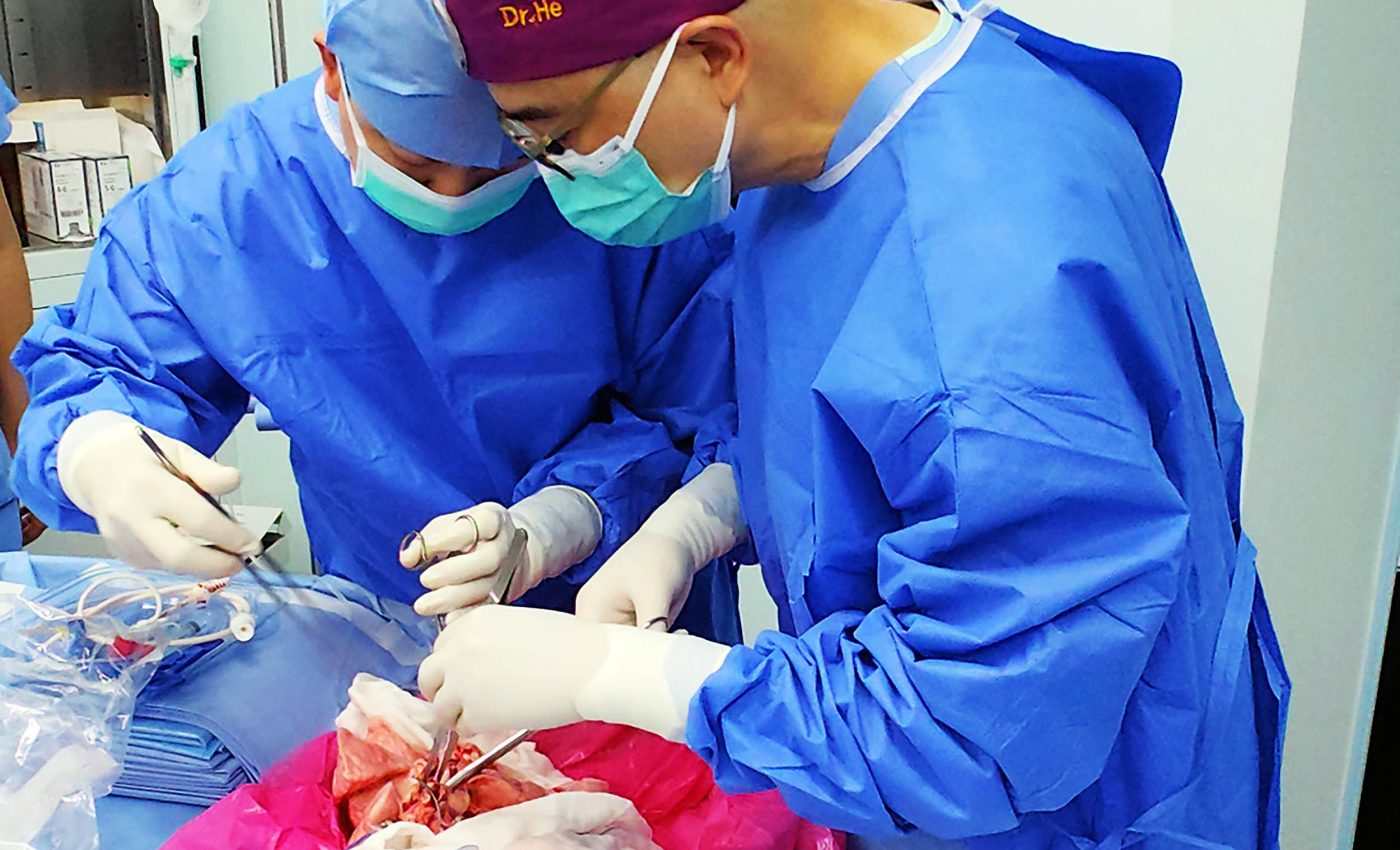 Doctors successfully implant a pig's lung into a human for the first time