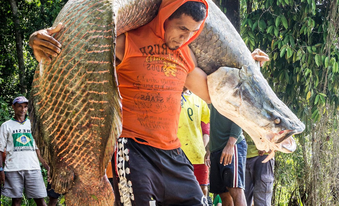 When locals manage protected Amazon rainforest areas, good things happen