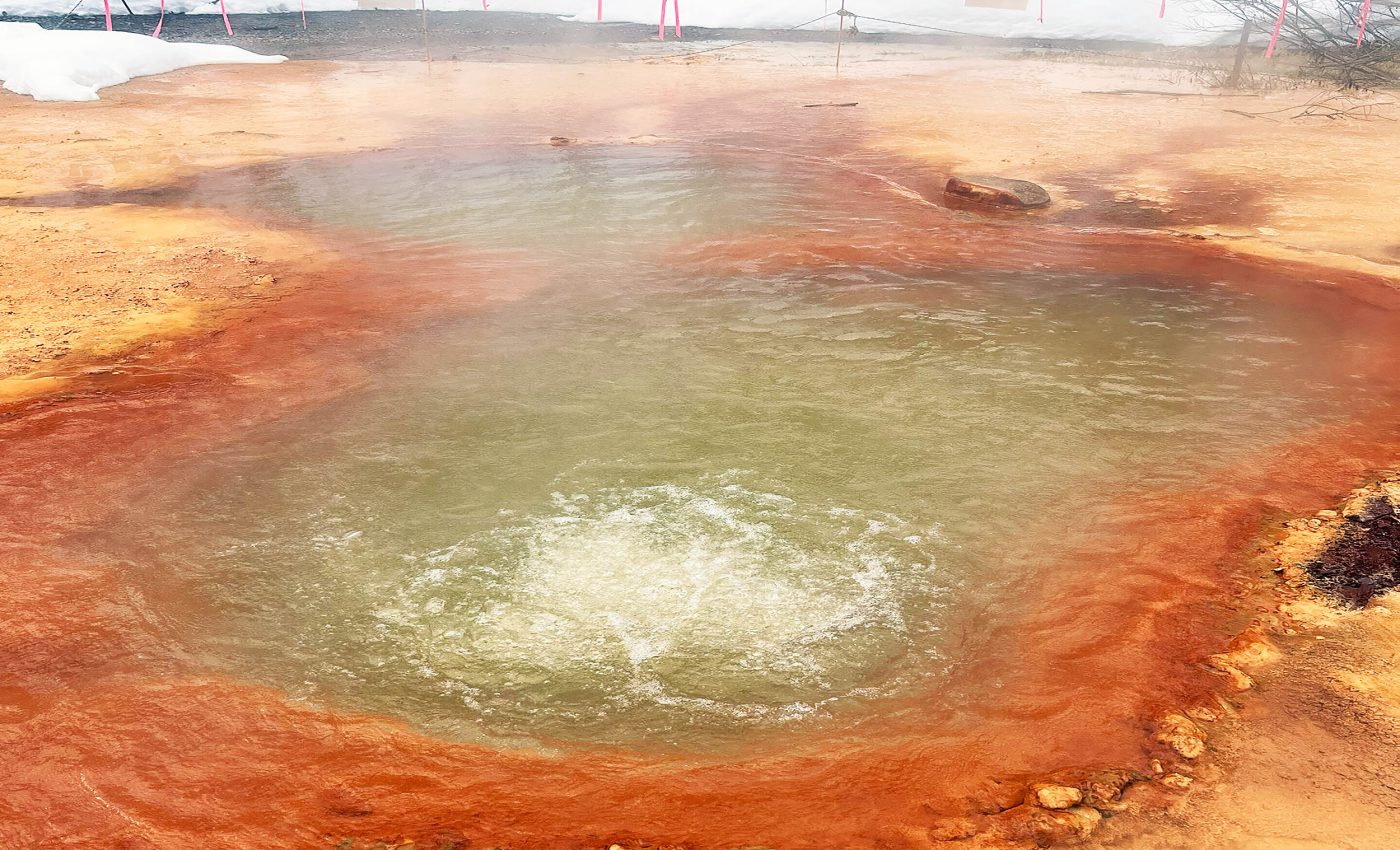 Microbes found in hot springs that mimic early Earth conditions when oxygen was toxic to life
