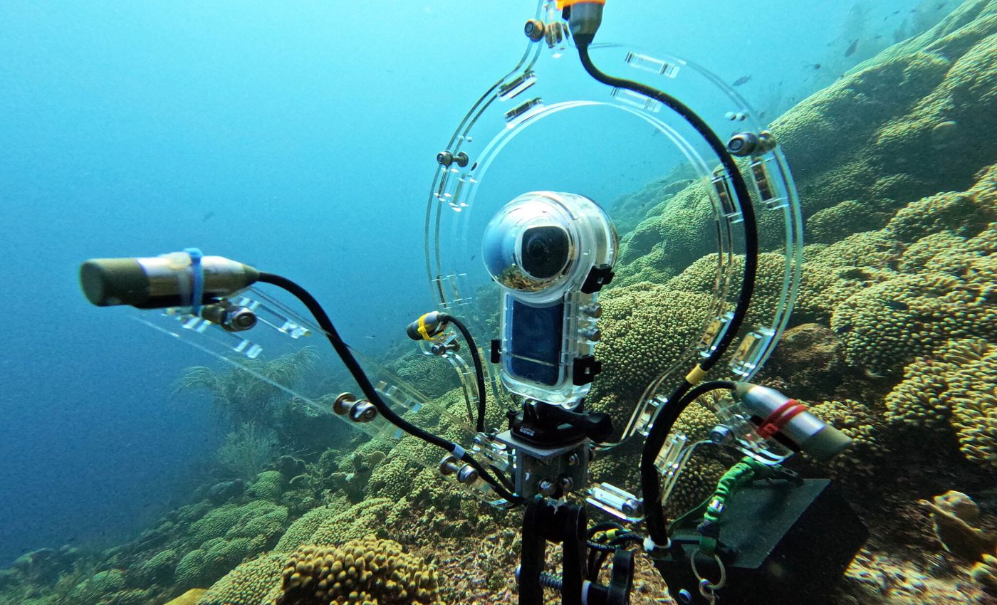 High-tech tool helps scientists identify coral reef fish by sound – Earth.com