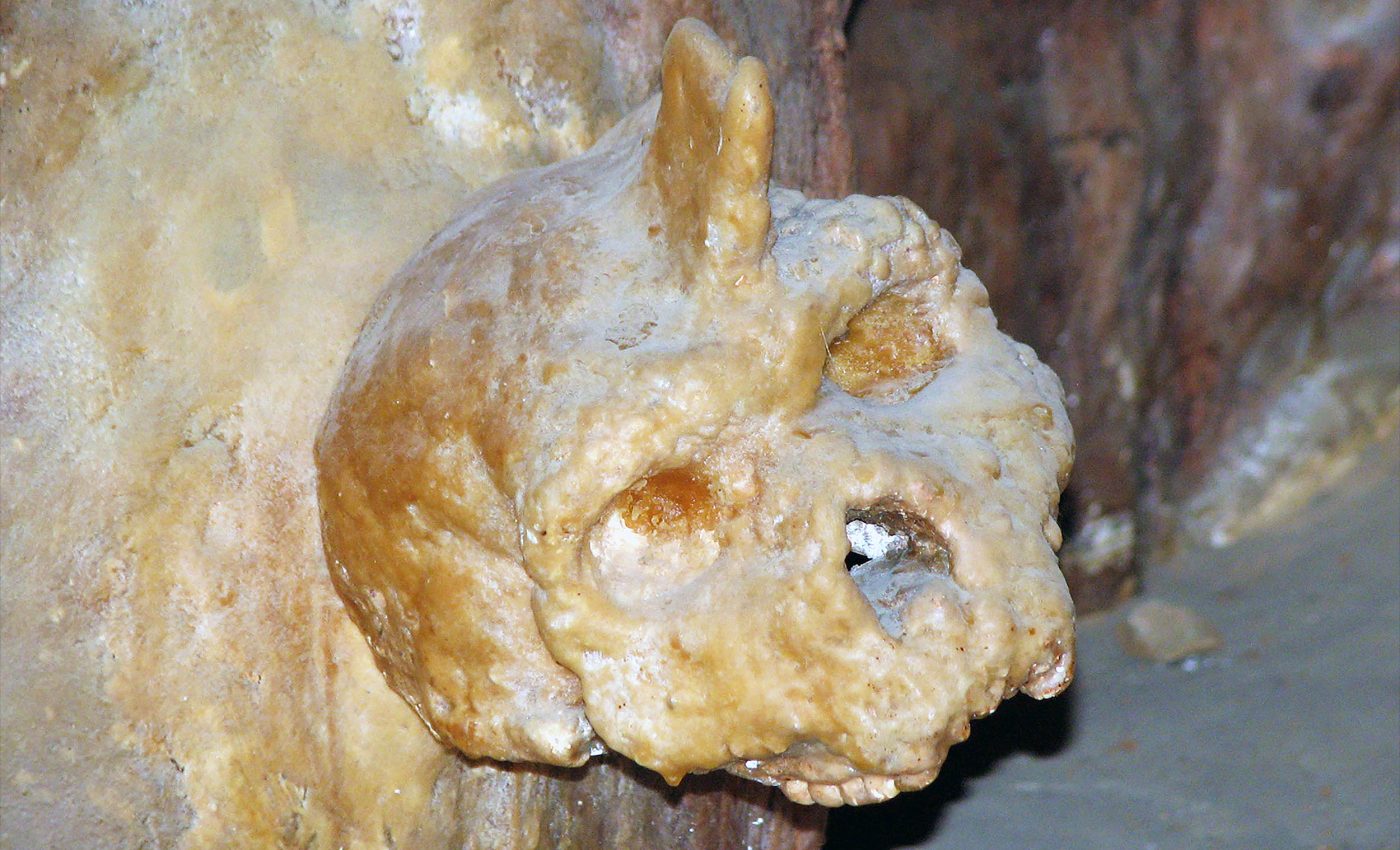 Skull found in a Greek cave is 286,000 years old, but its identity has been a mystery since 1960