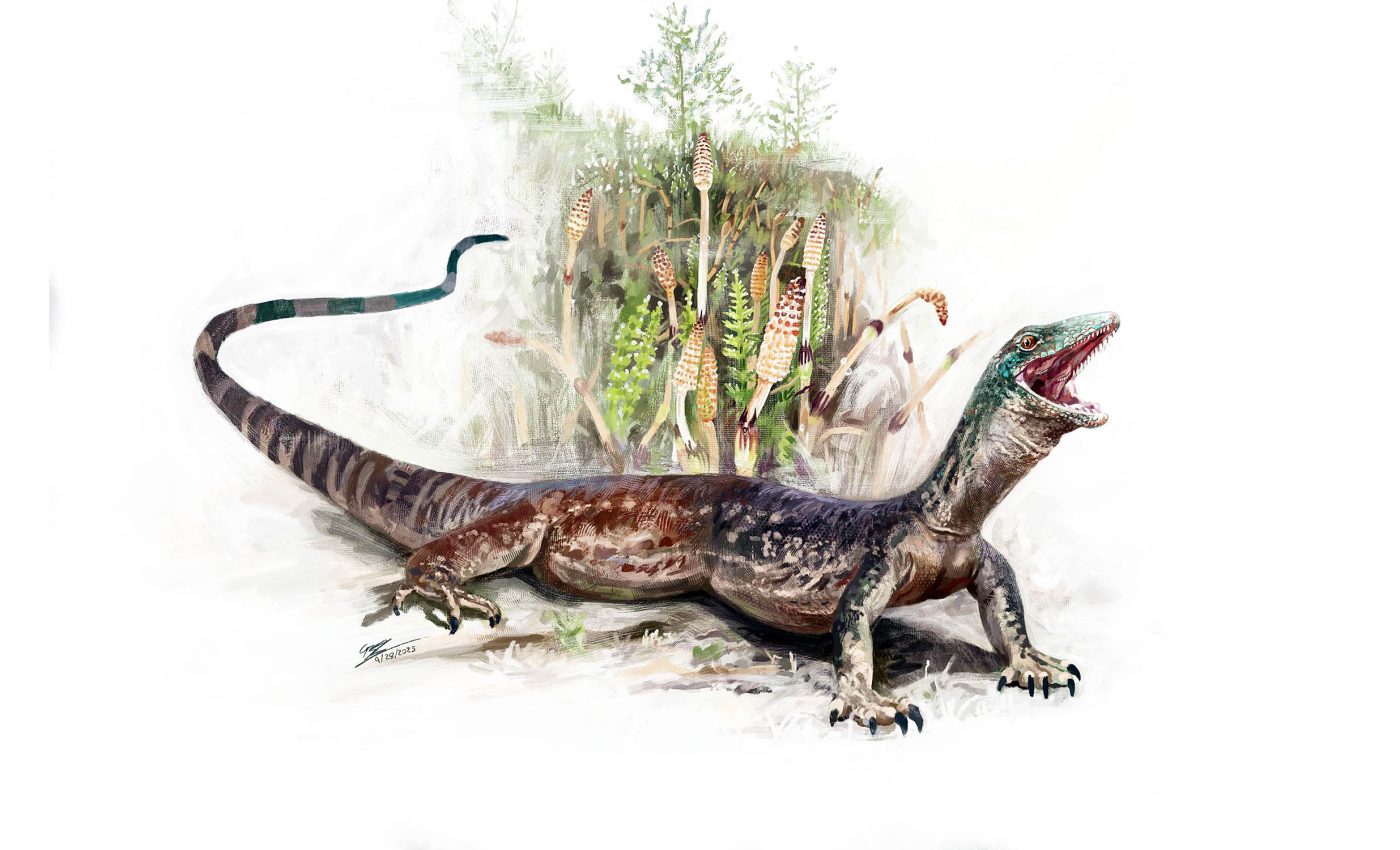 Jurassic reptilian creature shared features of both snakes and lizards