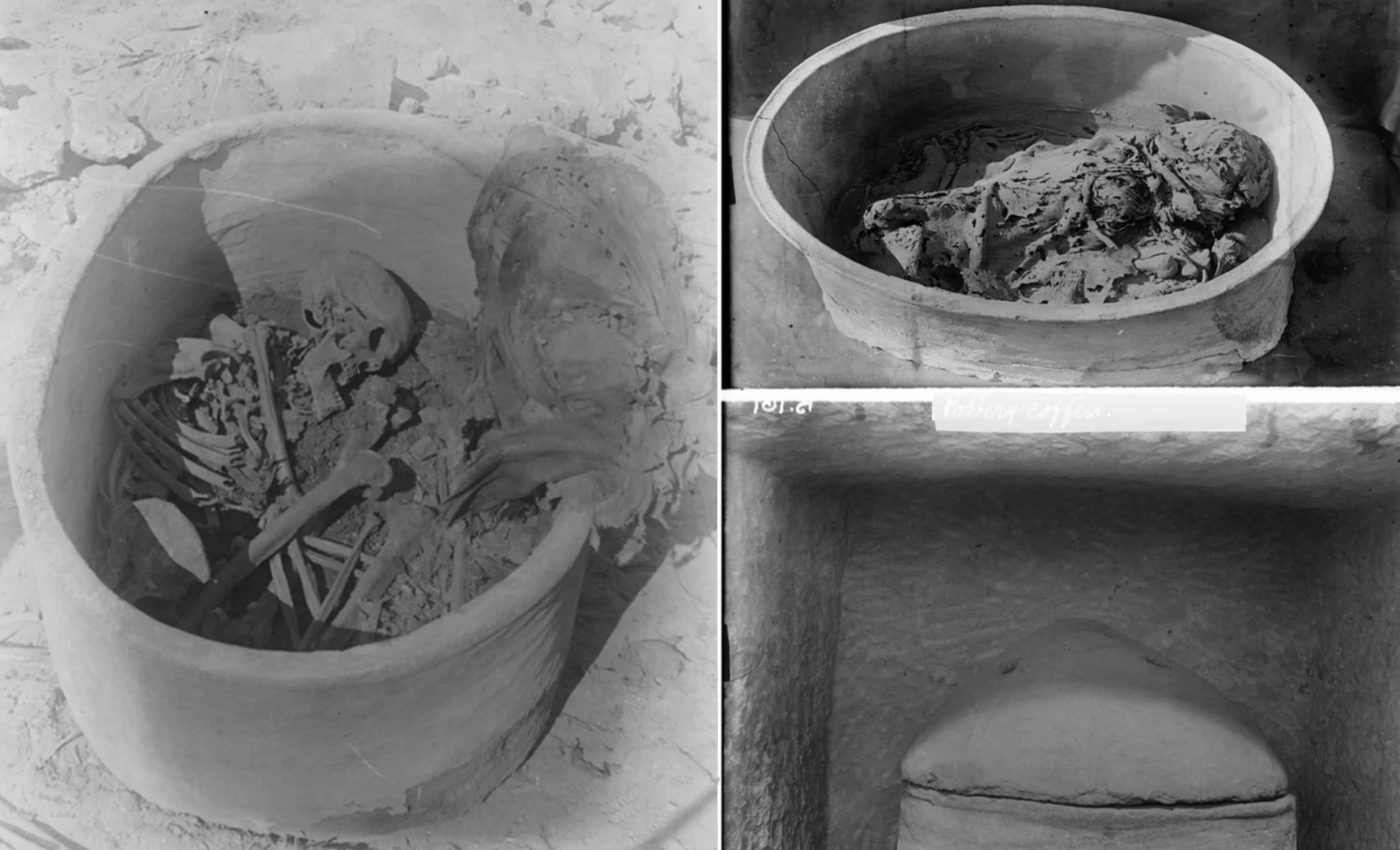 DNA extracted from an ancient skeleton in a pot is a genetic mixture of two distinct worlds