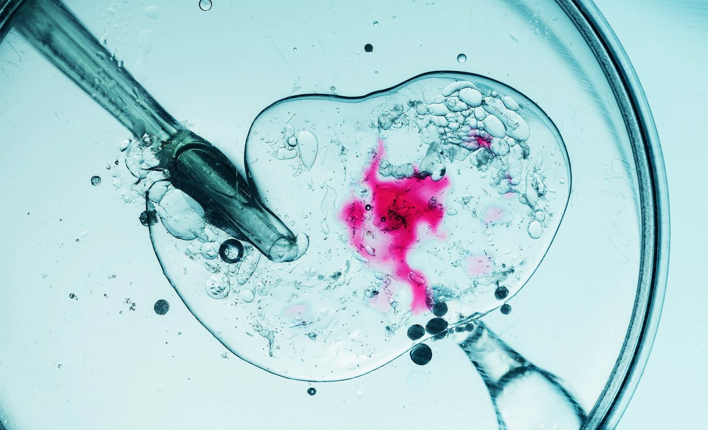 Scientists create human eggs from skin cells in major infertility breakthrough