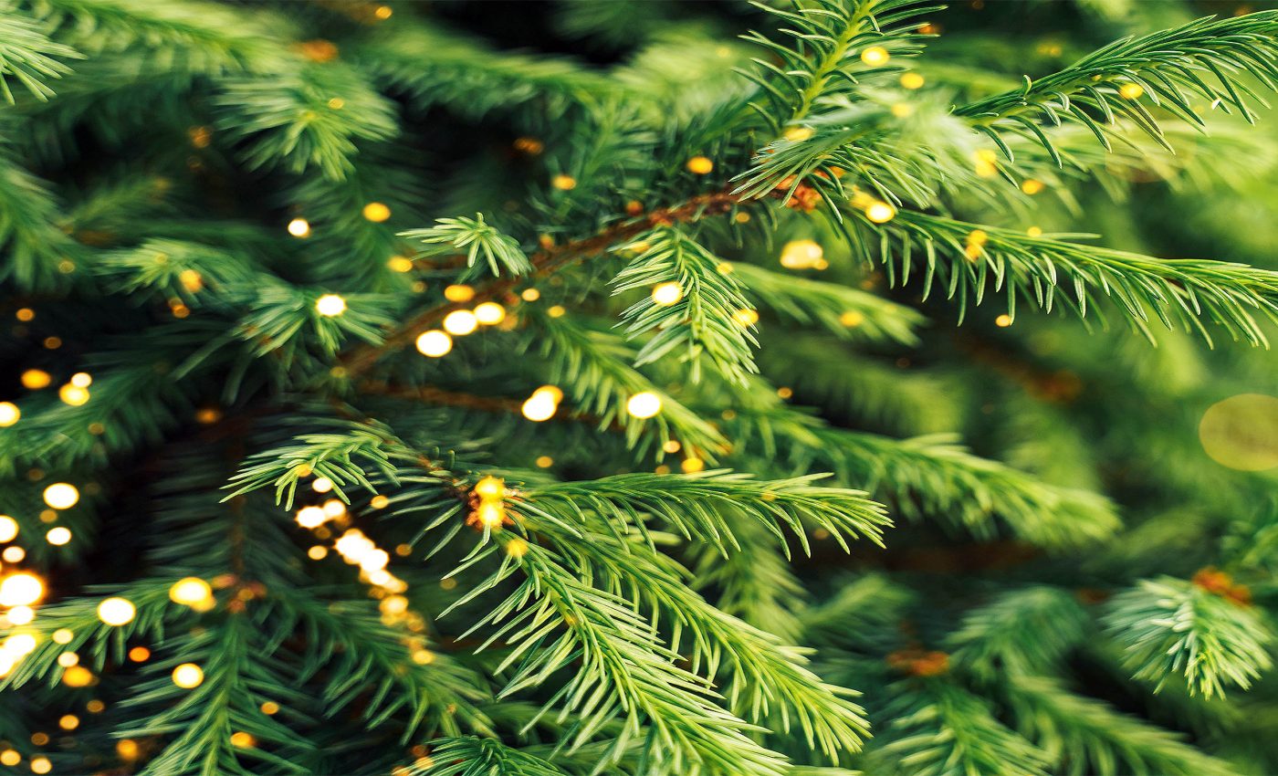 Money doesn't grow on trees, but gold does, according to a new study