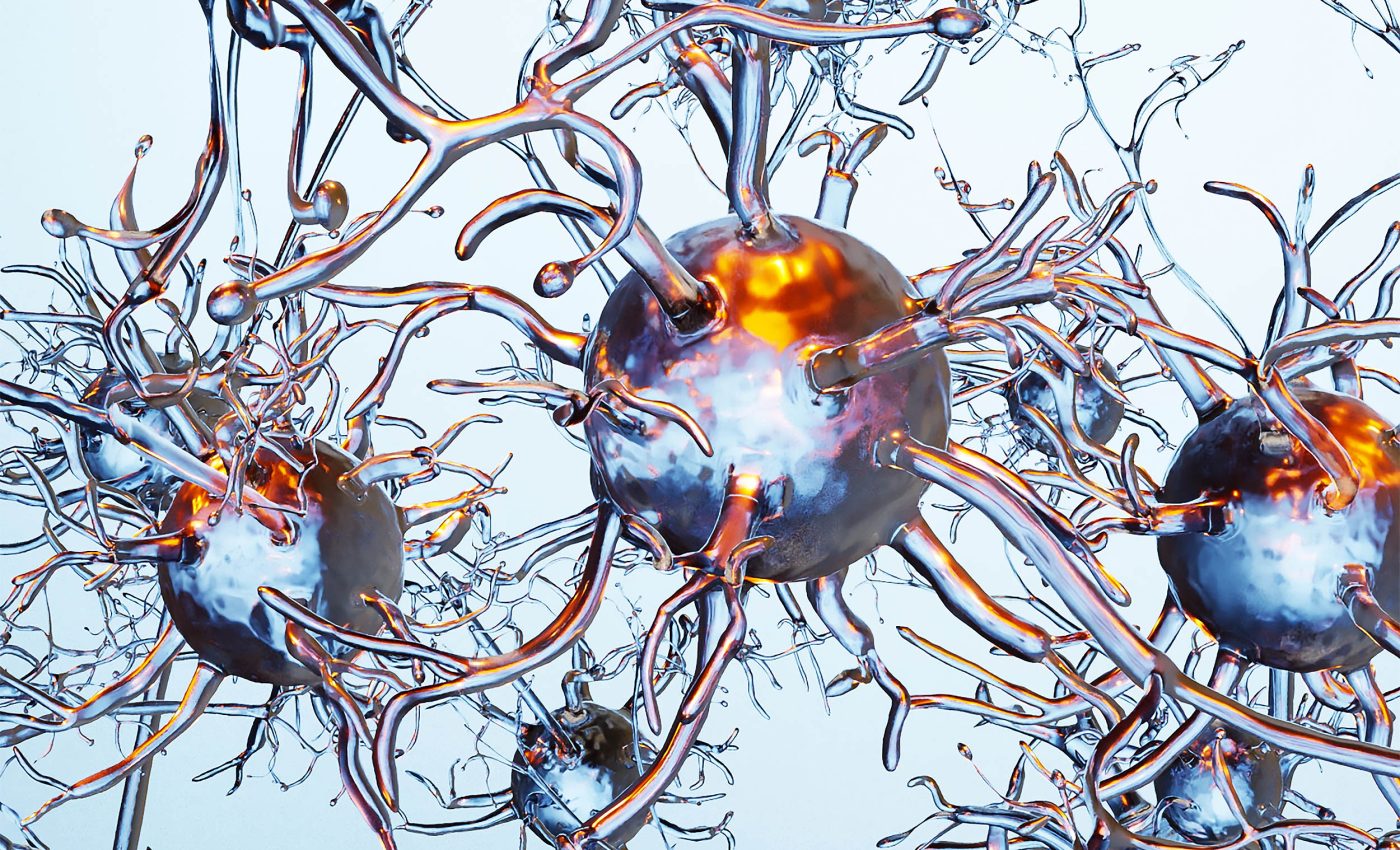 Scientists learn that memories are stored in other parts of the body, not just in the brain