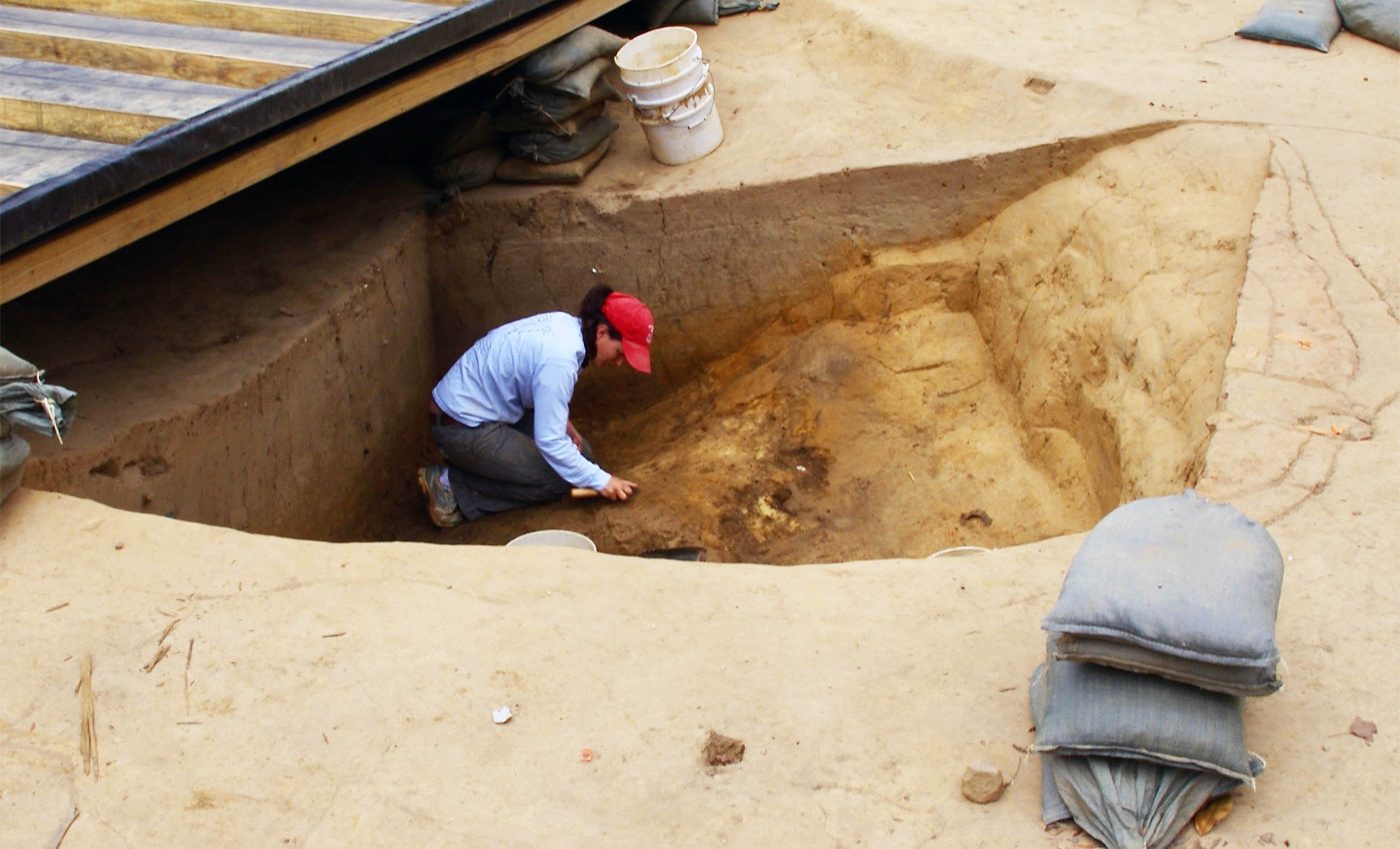 Archaeologists discover what animals the first colonists brought to the New World