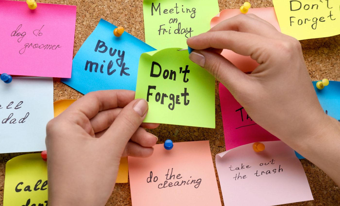 How do memories survive sleep? It’s all about intention