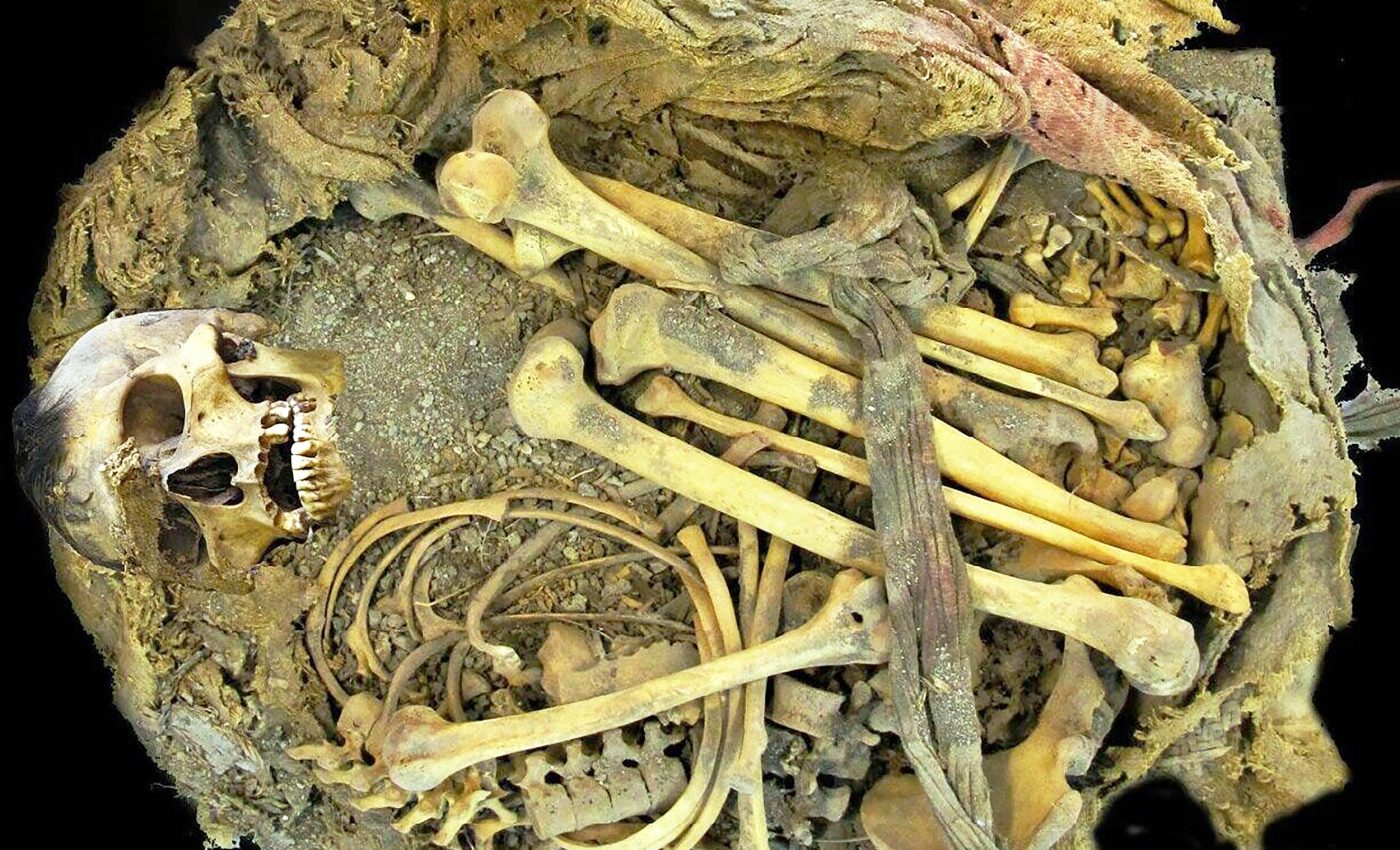 Intact intestines found in 1,000-year-old skeleton reveal surprisingly healthy ancient diet