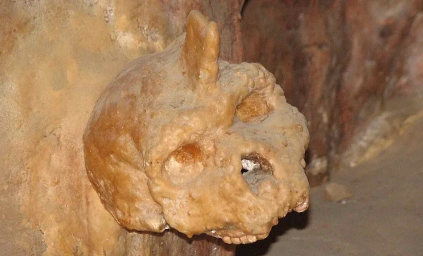 300,000-year-old skull discovered in a Greek cave belongs to an unknown early human species