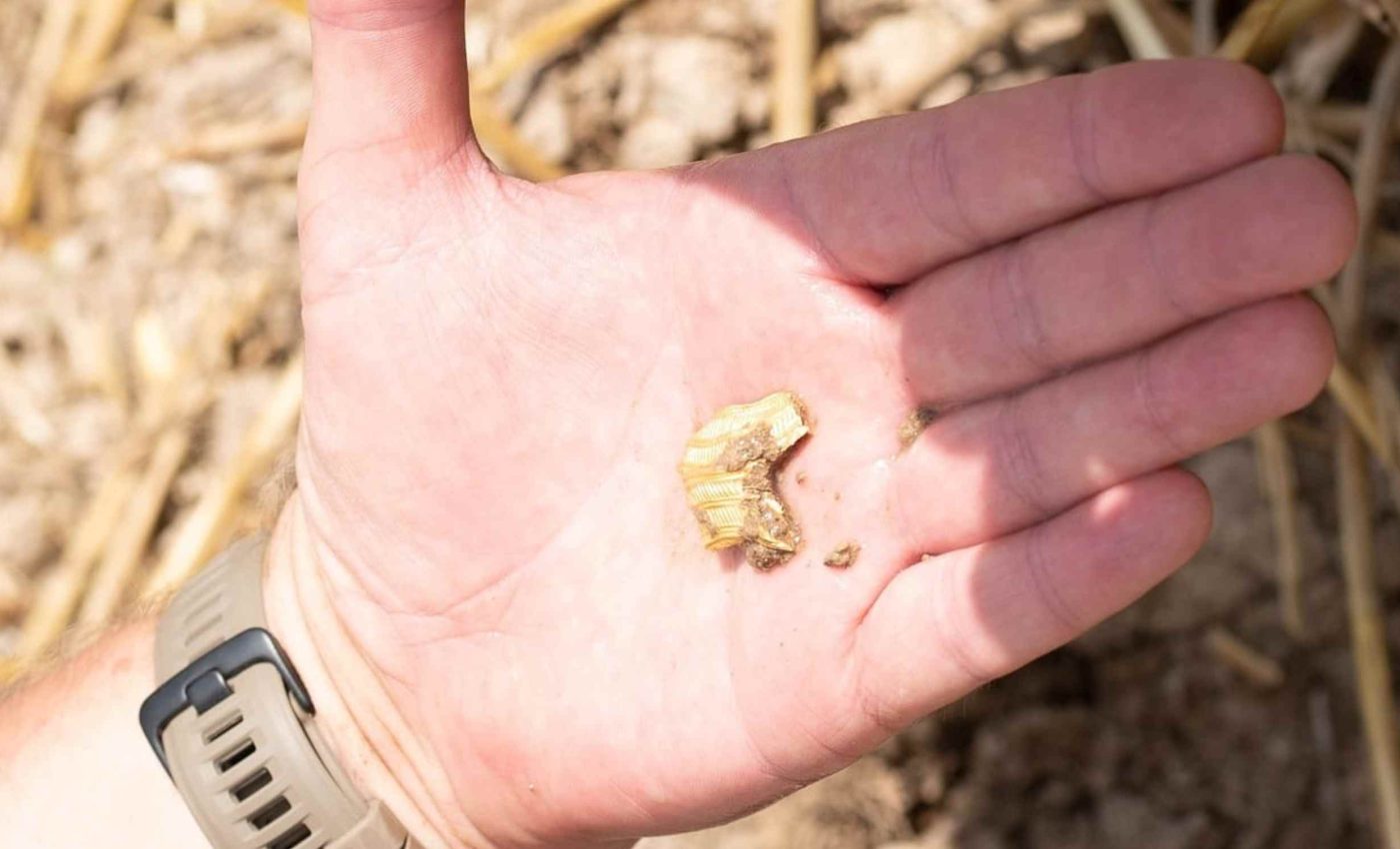 Celtic treasure trove discovered with coins and jewelry dating back 2,000 years