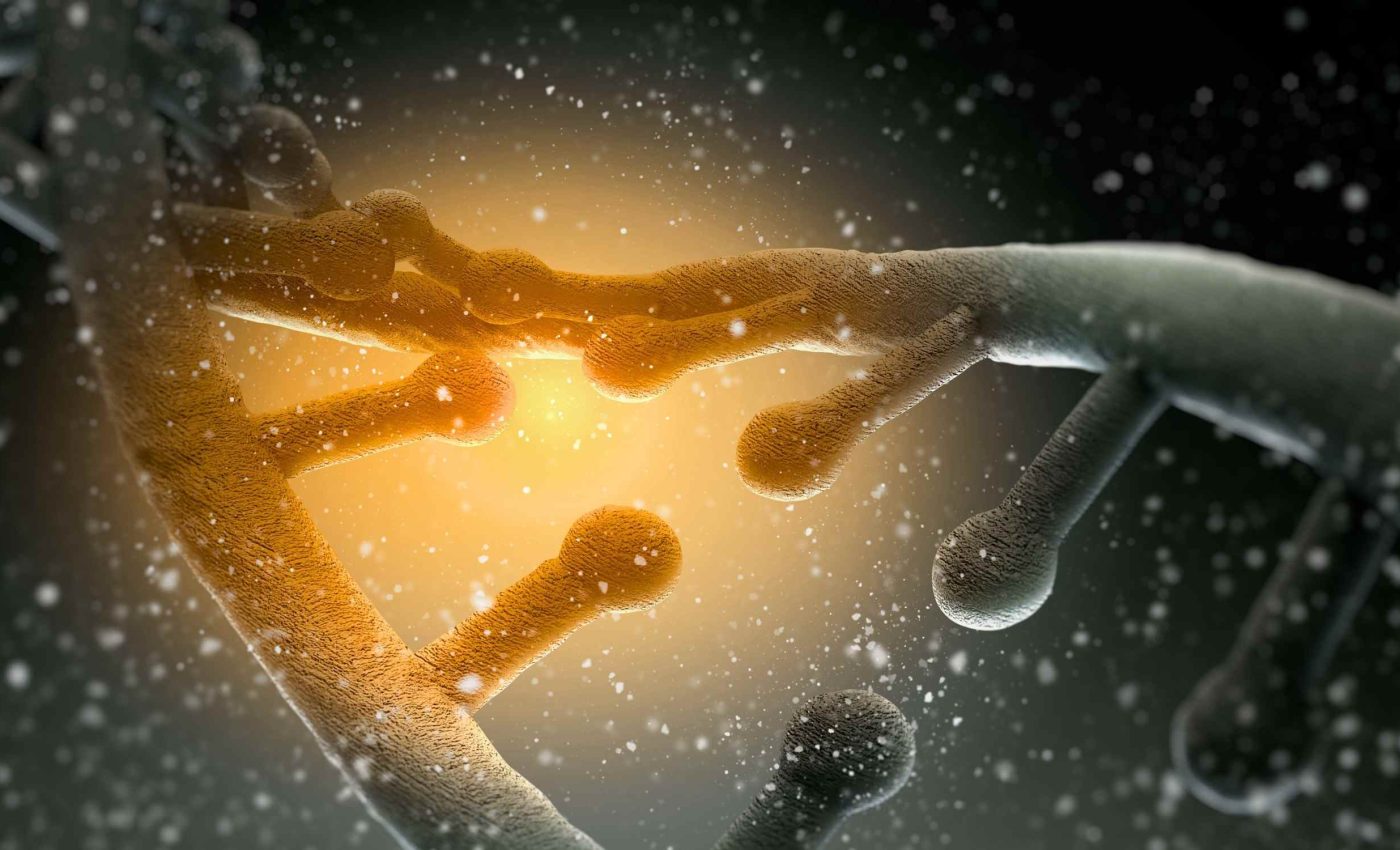 Tiny nanoscale machines are made from DNA and 'reboot' with heat