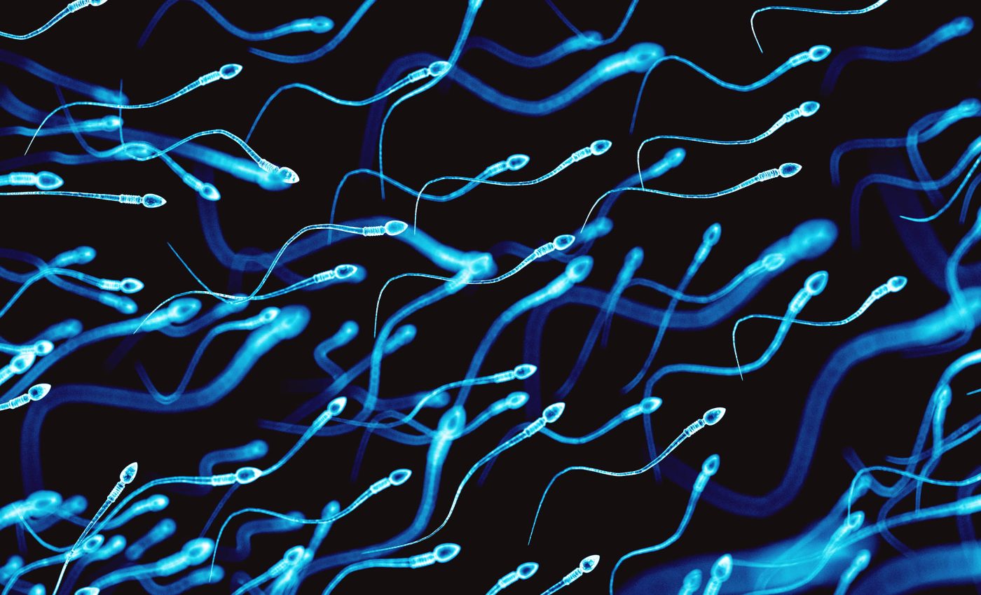 New treatment that helps sperm 'swim' better offers hope for male infertility