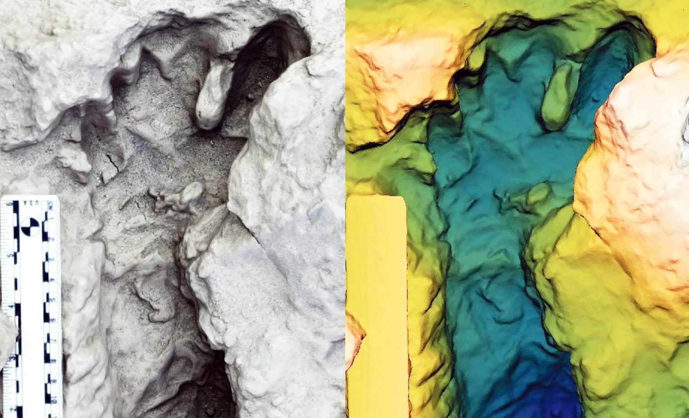 Fossil footprints reveal two species of human ancestors lived side-by-side, a scientific first
