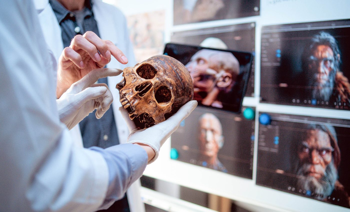 Lead exposure may have killed off the Neanderthals, but why not also humans?