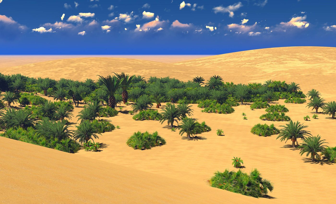 Some parts of Earth benefit from climate change, including the Sahara desert