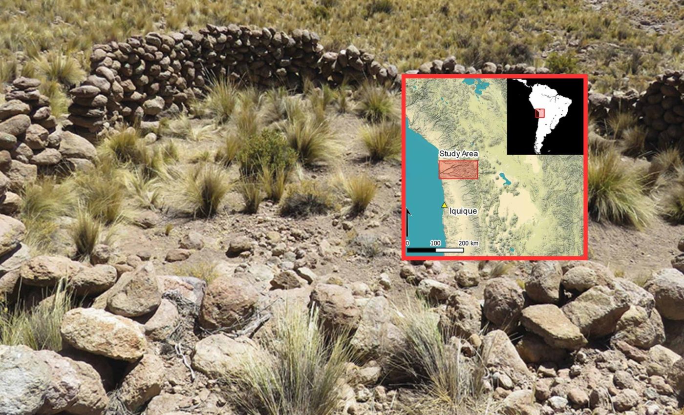 Funnel-shaped traps the size of a stadium reveal a 7th century hunting strategy