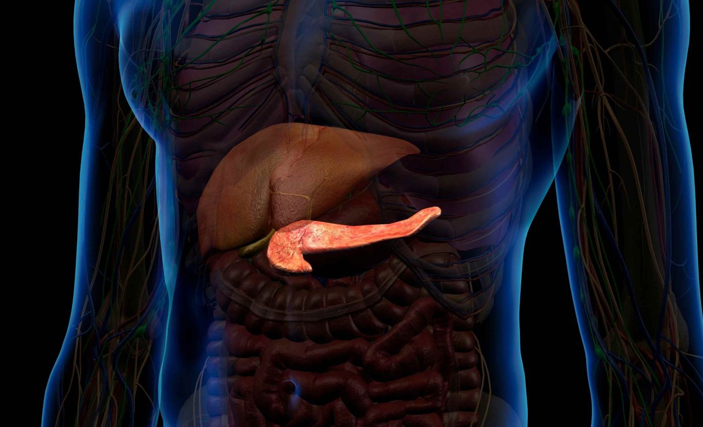 Historic breakthrough in treatment for diabetes and pancreatic cancer
