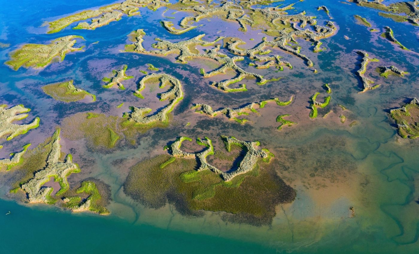 Rivers carry hidden carbon that shapes Earth’s climate