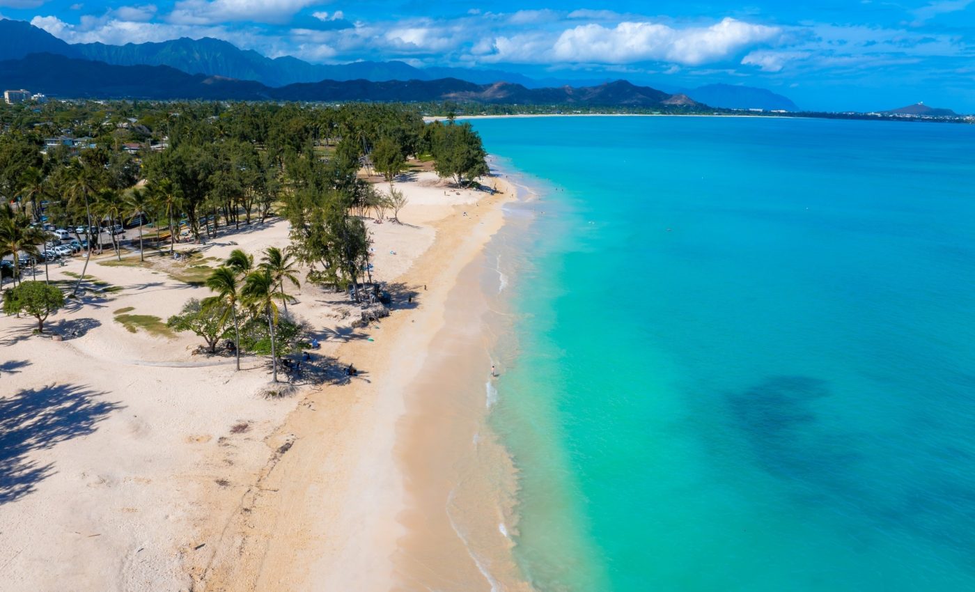 Unexpected discovery reveals how microbes travel from land to sea