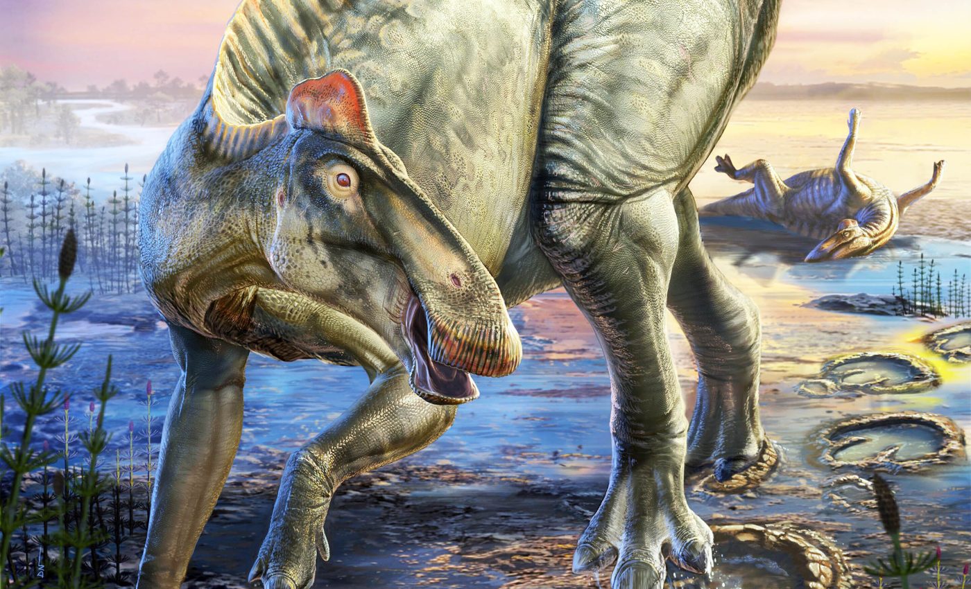 Dinosaur 'mummies' preserved so well that artists can recreate their appearance in great detail