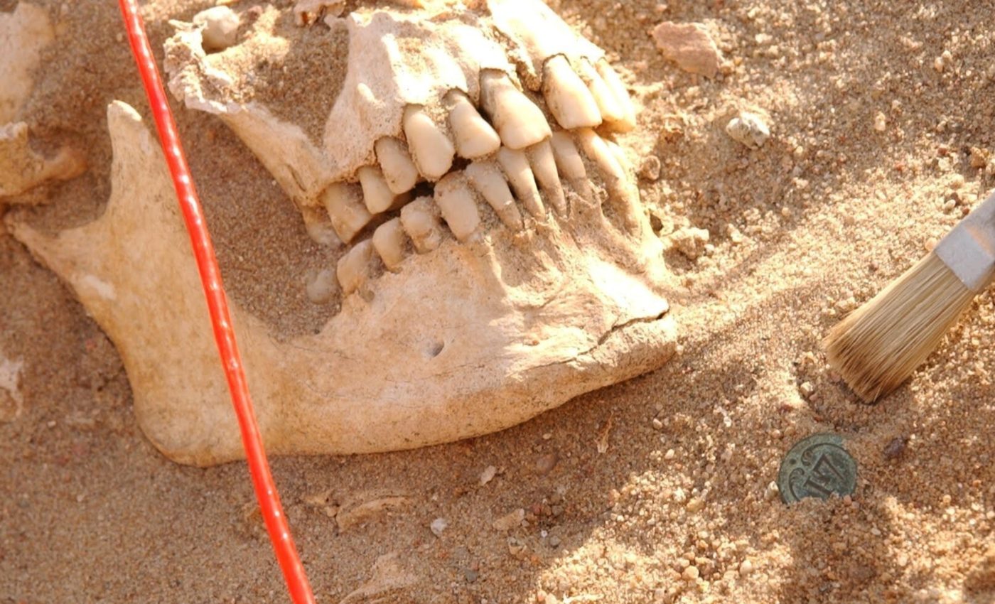 Ancient DNA reveals what really killed Napoleon's army