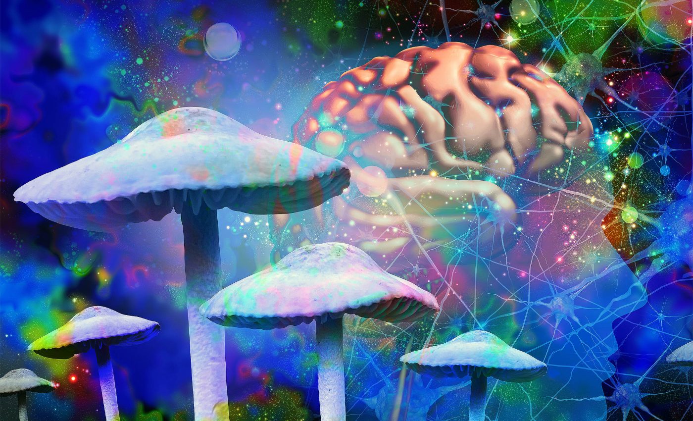 Psychedelics reshape the perception of time, unlocking therapeutic avenues