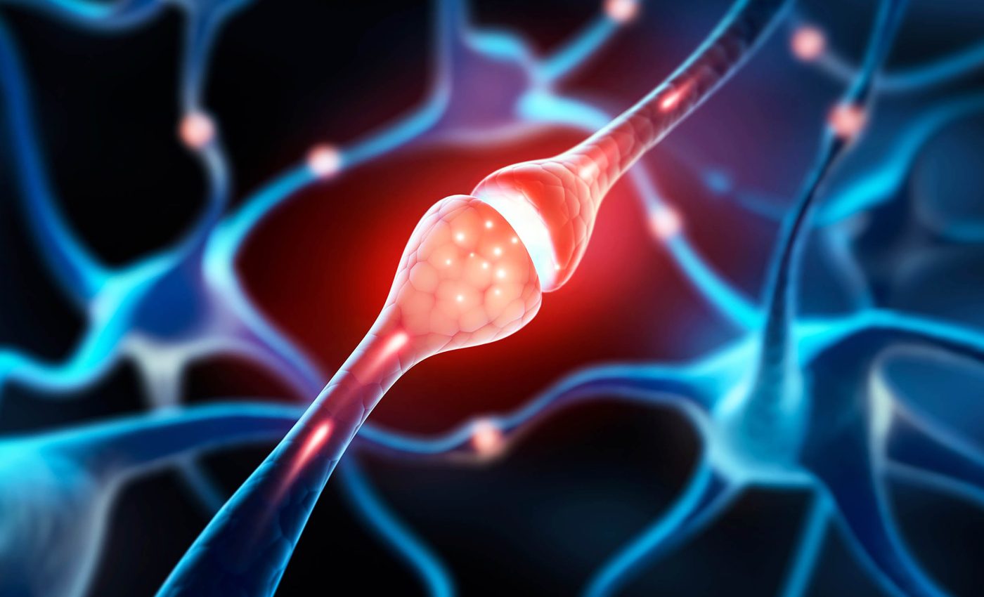 Discovery upends 100-year-old brain cell theory taught in scientific textbooks
