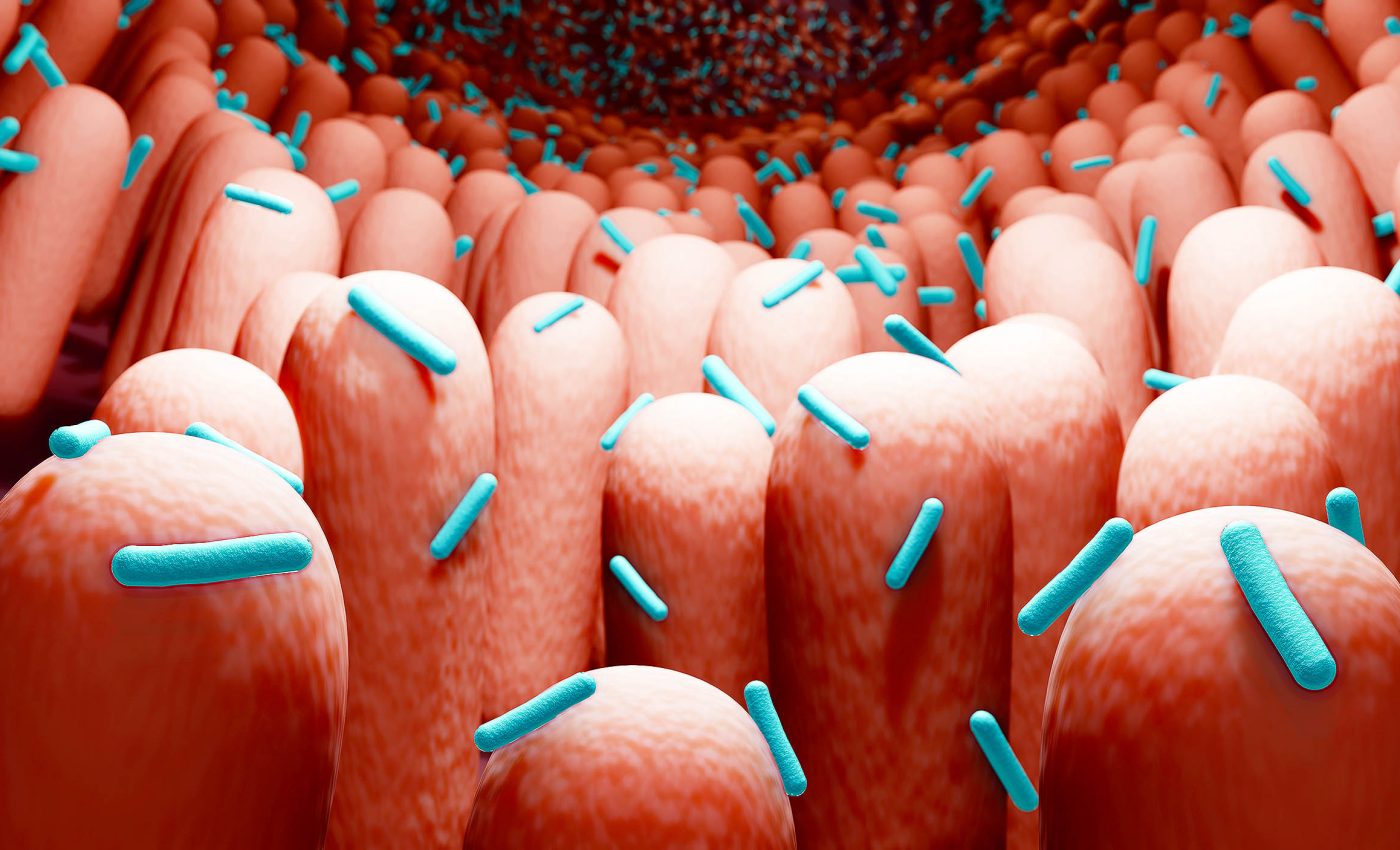 New life forms found in the human body, discovery described by scientists as 'insane'