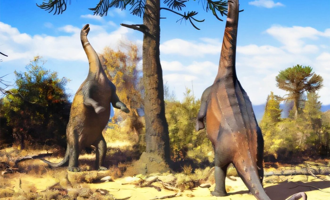 Some giant dinosaurs in South America could stand on two legs