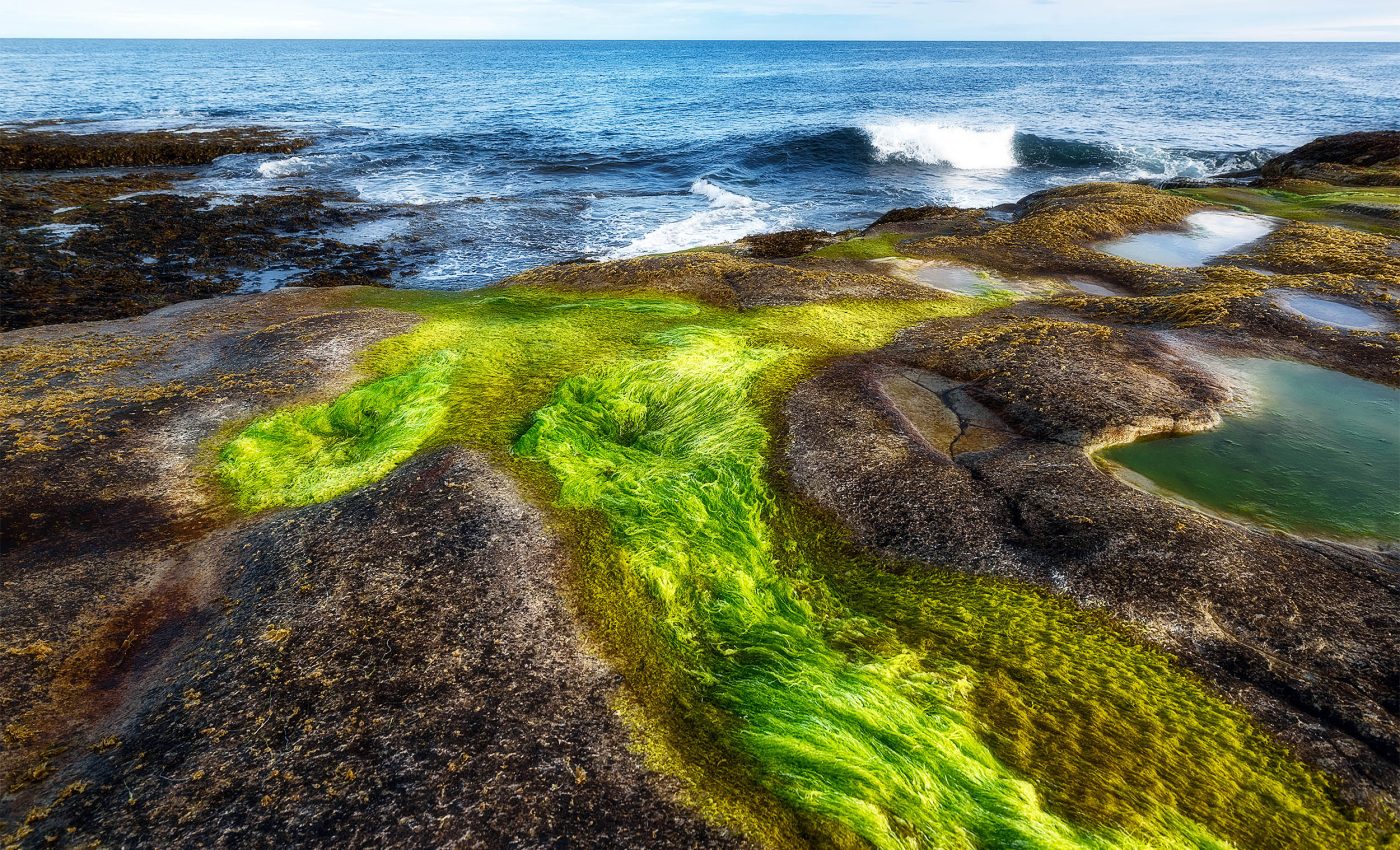 New phenomenon discovered in the Arctic could be a silver lining from disastrous ice melt