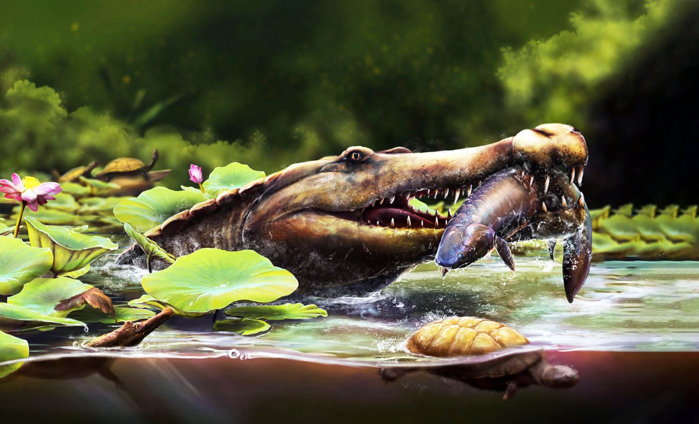 Ancient crocodile from Egypt rewrites the origins of its entire family