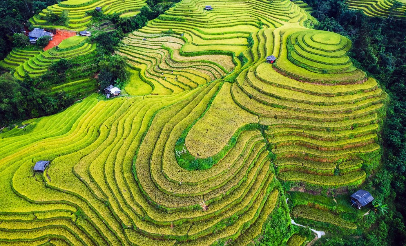 Small changes to land use and diet could save thousands of animal species