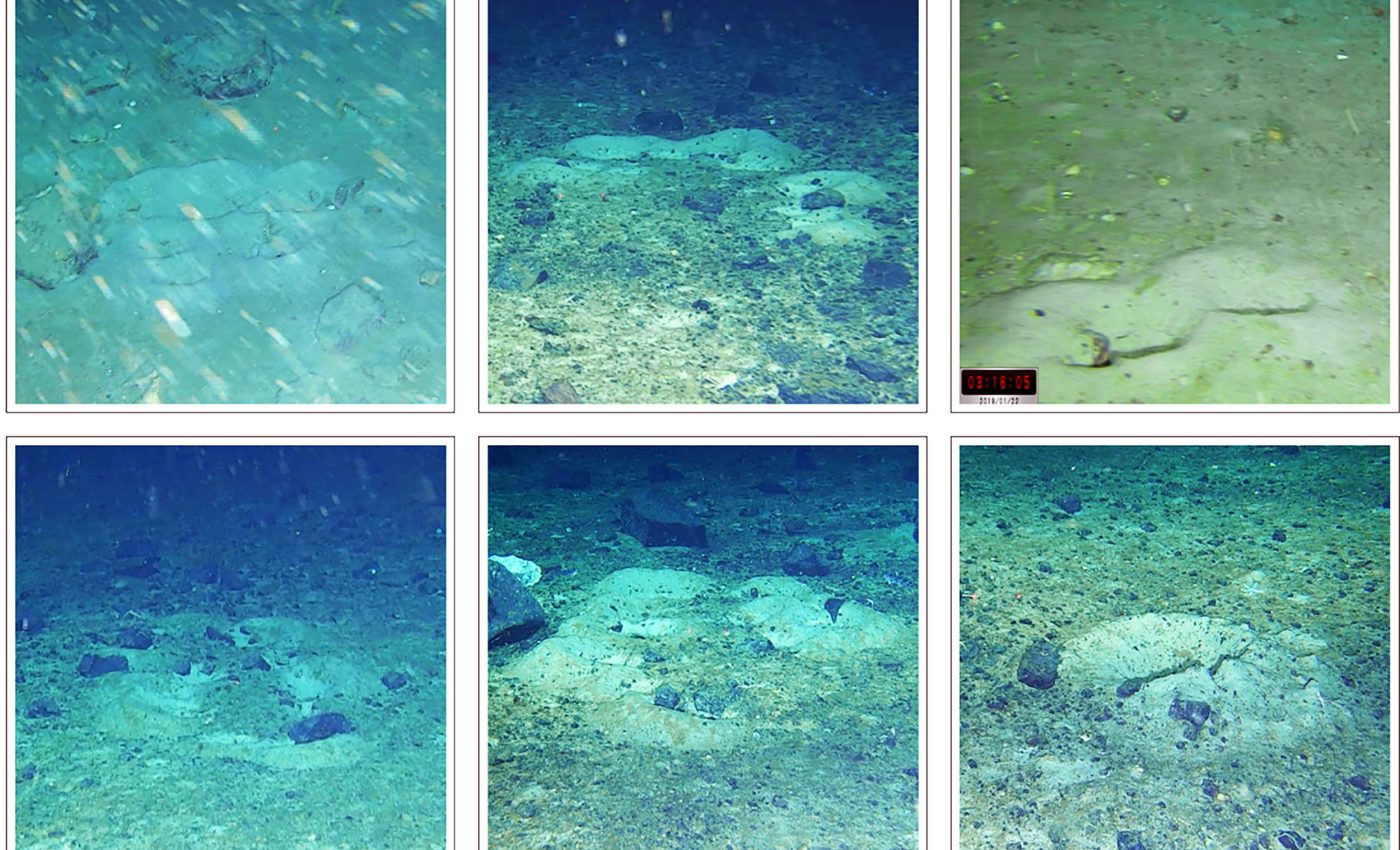 Robot finds thousands of 'ice fish' nests under Antarctic ice