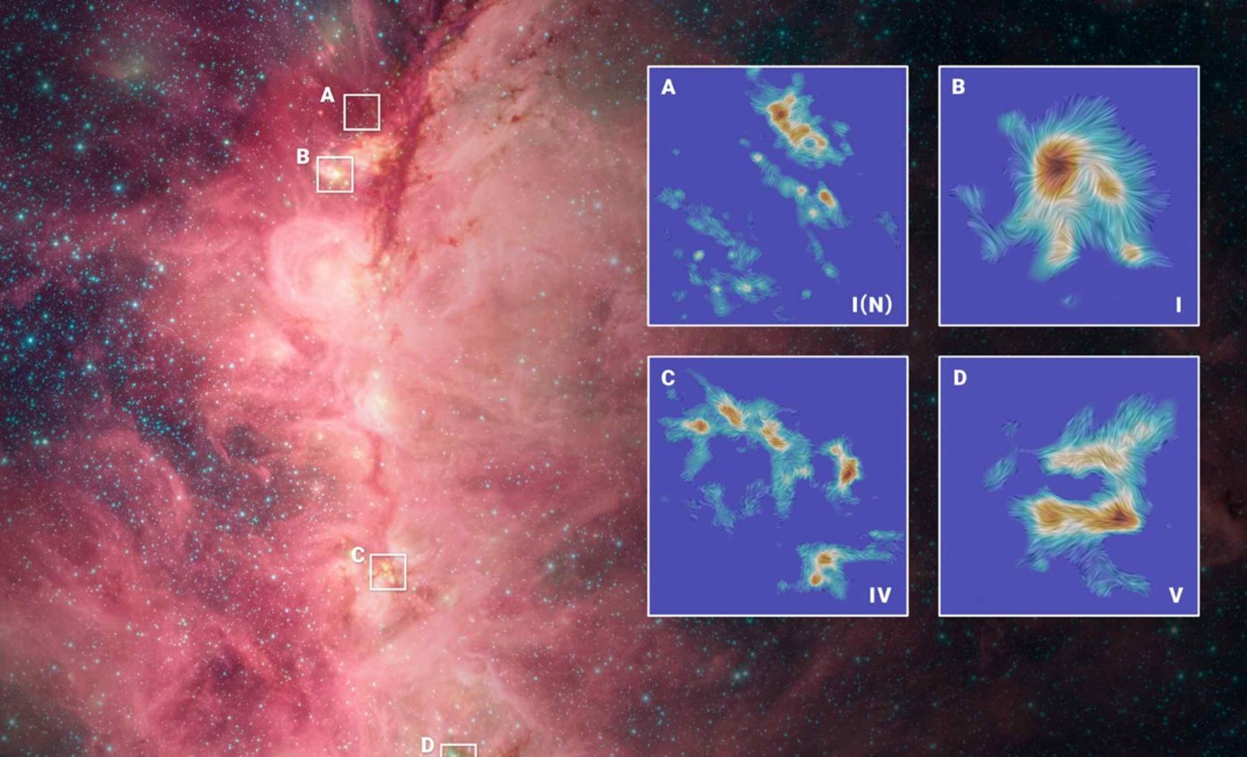 Dramatic struggle between gravity and magnetic fields give birth to massive stars