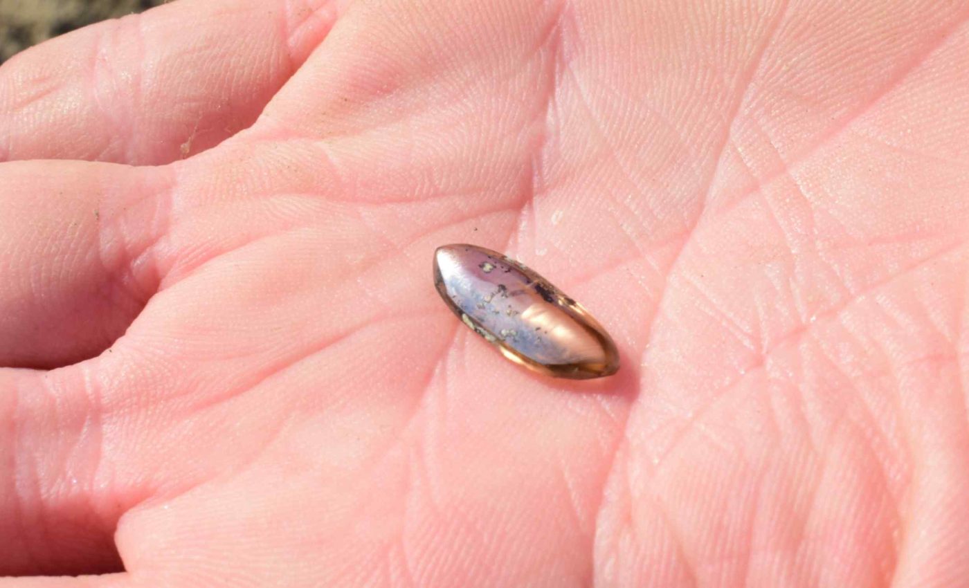 Family finds 2.79-carat diamond using tools purchased at a dollar store