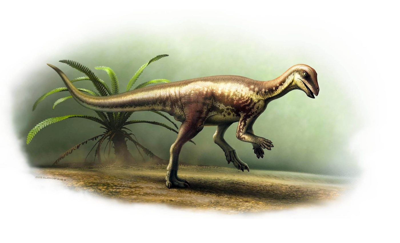 Cat-sized 'running dinosaur' discovered in Colorado remains a mystery to scientists