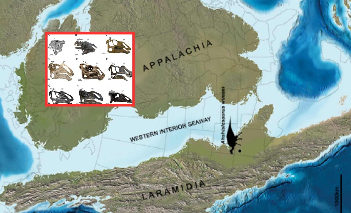 Nine-ton giant dinosaur with duck-like face discovered in New Mexico