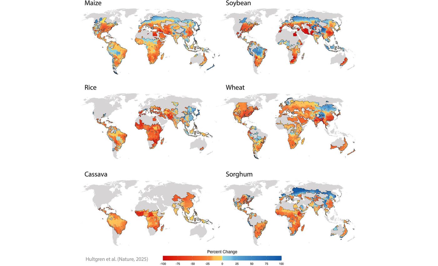 Global crop yield declines will not discriminate between rich and poor nations